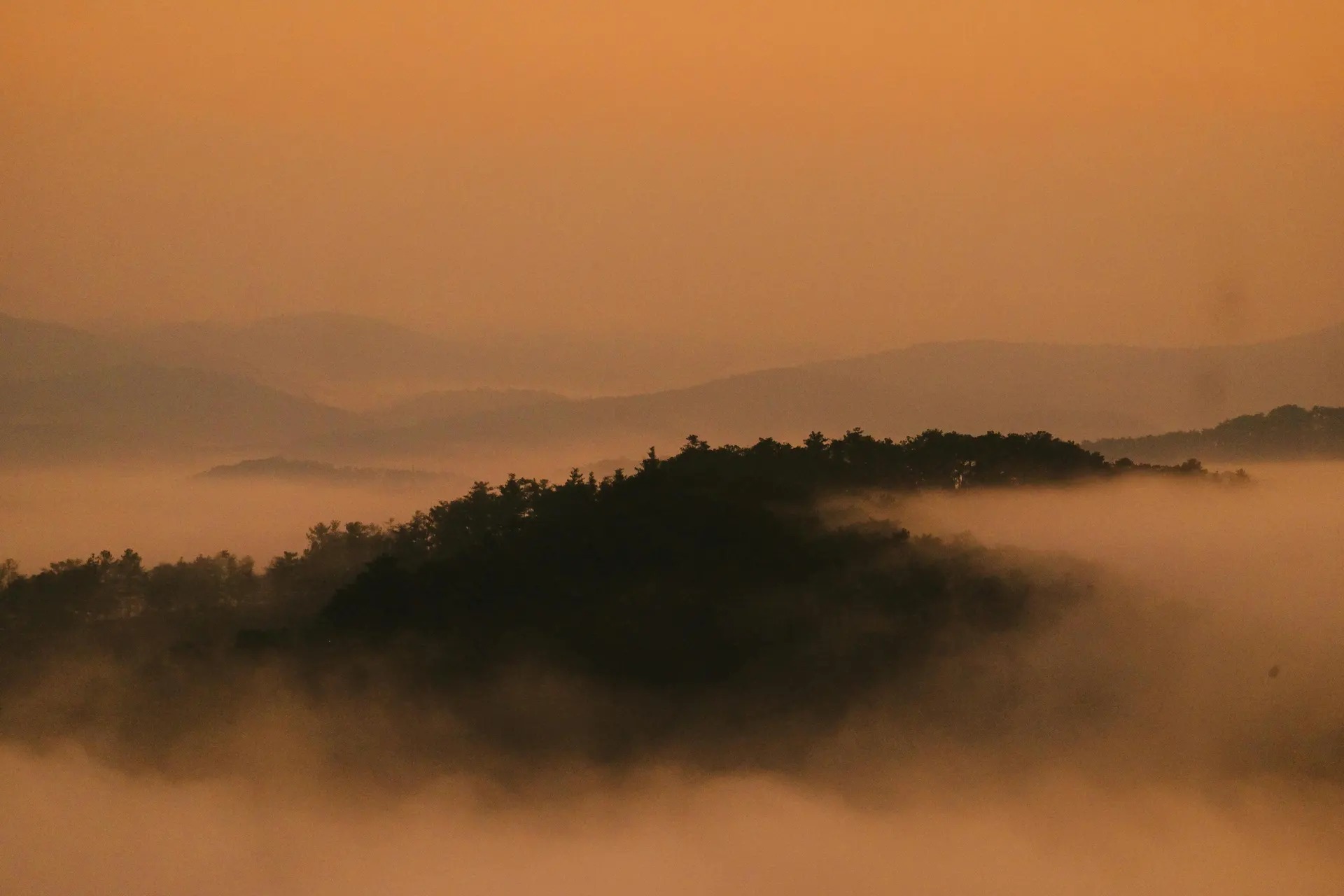 Borneo rainforest ridge route with mist and orange light